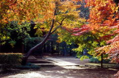 �����������ʐ^